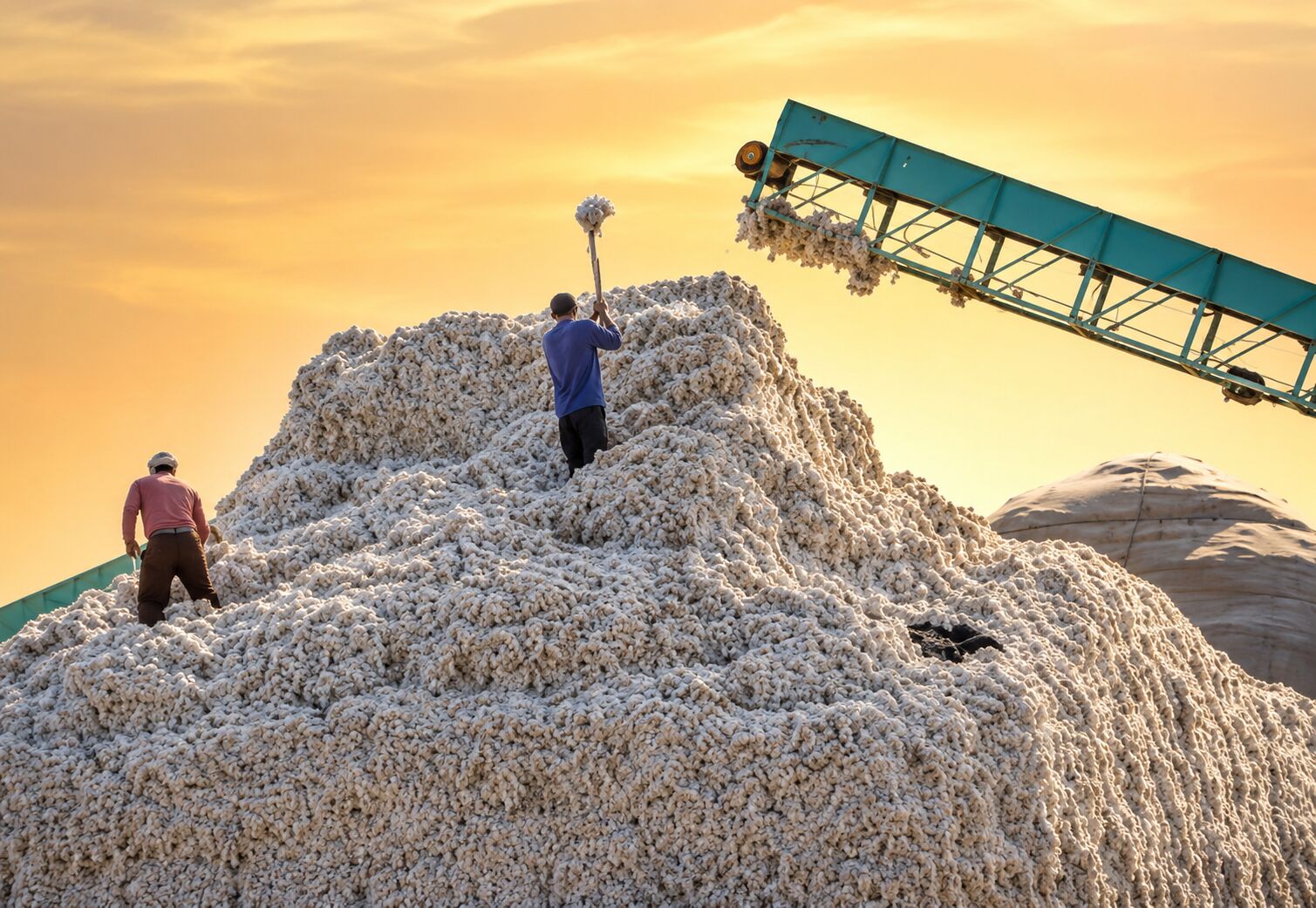 Premium Cotton Ginning and Pressing Suppliers in Hubli